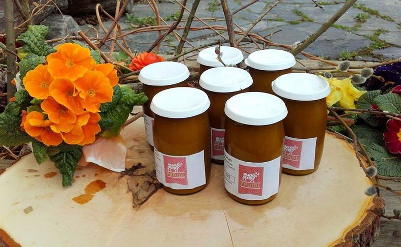 Joghurt.jpg Joghurt.jpg