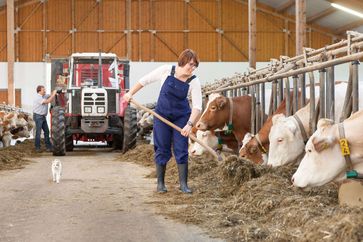 [1616664135592357.jpg]