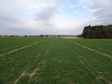 Bonitur Gerstendüngungsversuch am 29.03.2021 Bonitur Gerstendüngungsversuch am 29.03.2021