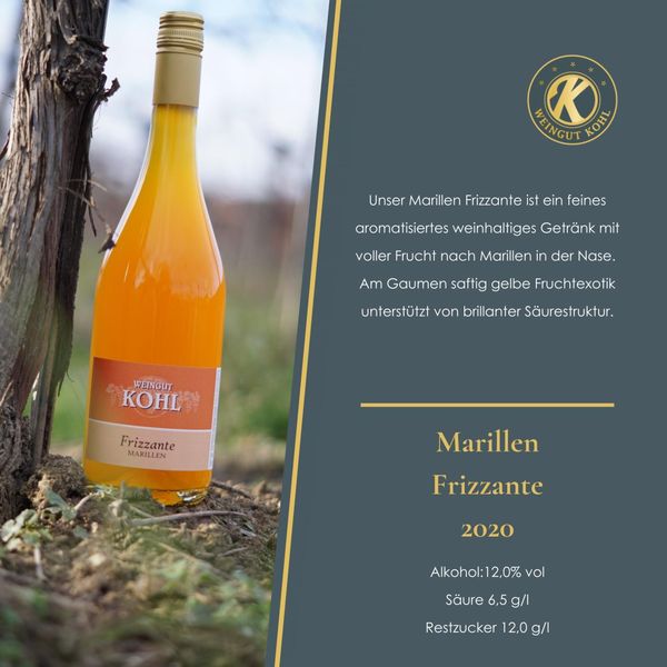 IMG-20210402-WA0001.jpg IMG-20210402-WA0001.jpg