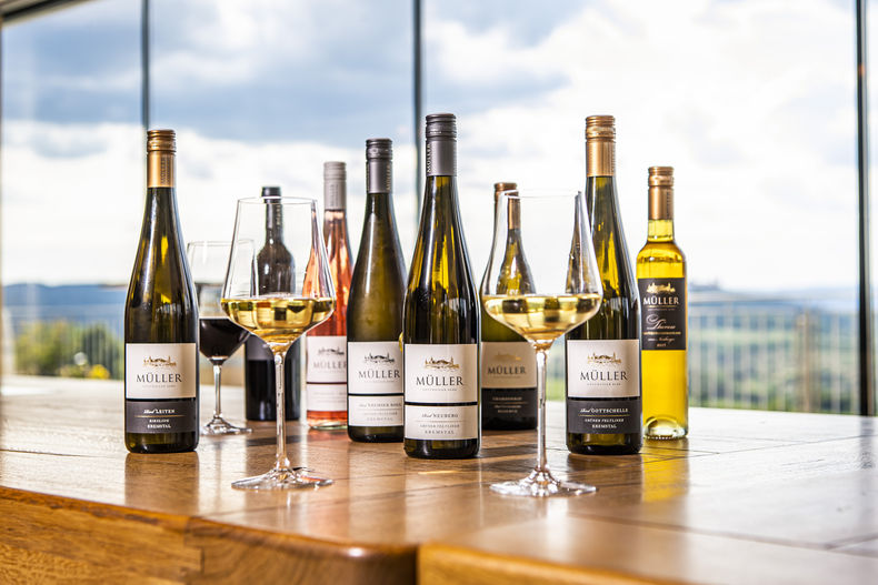 herbst-3886.jpg herbst-3886.jpg