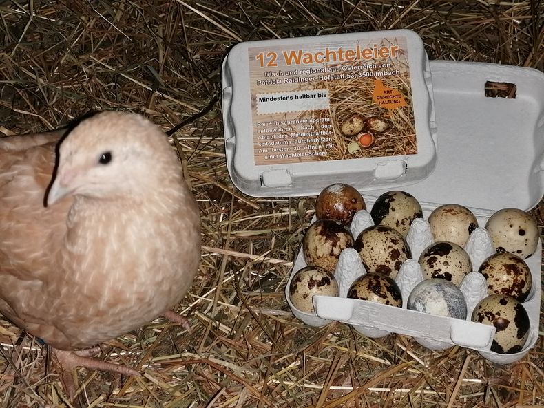 IMG 20201229 101119.jpg