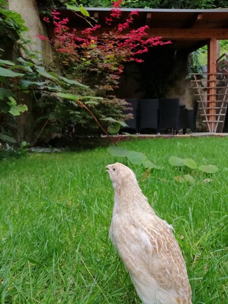 IMG 20200826 083256.jpg