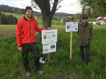 Erste Bonitur des Impf- und Sortenversuches mit Lupine im hohen Norden bei der Bioschule Schlägl.