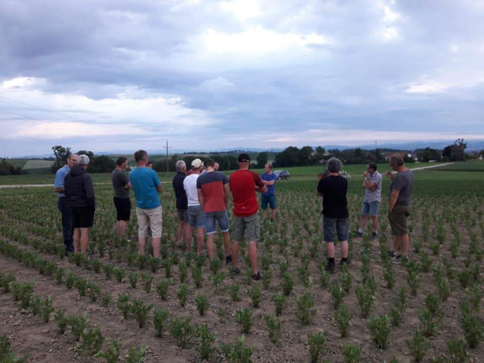 Diskussion und Informationsaustausch am Feld. © BWSB