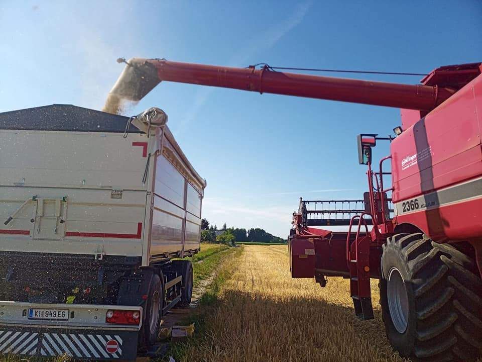 Gewichtsbestimmung mittels Wiegeplatten © BWSB