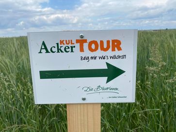 [1626082017075321.jpg]