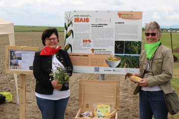 [1626239561495658.jpg]