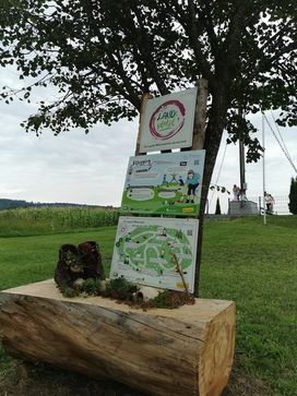 [1629661871408877.jpg]