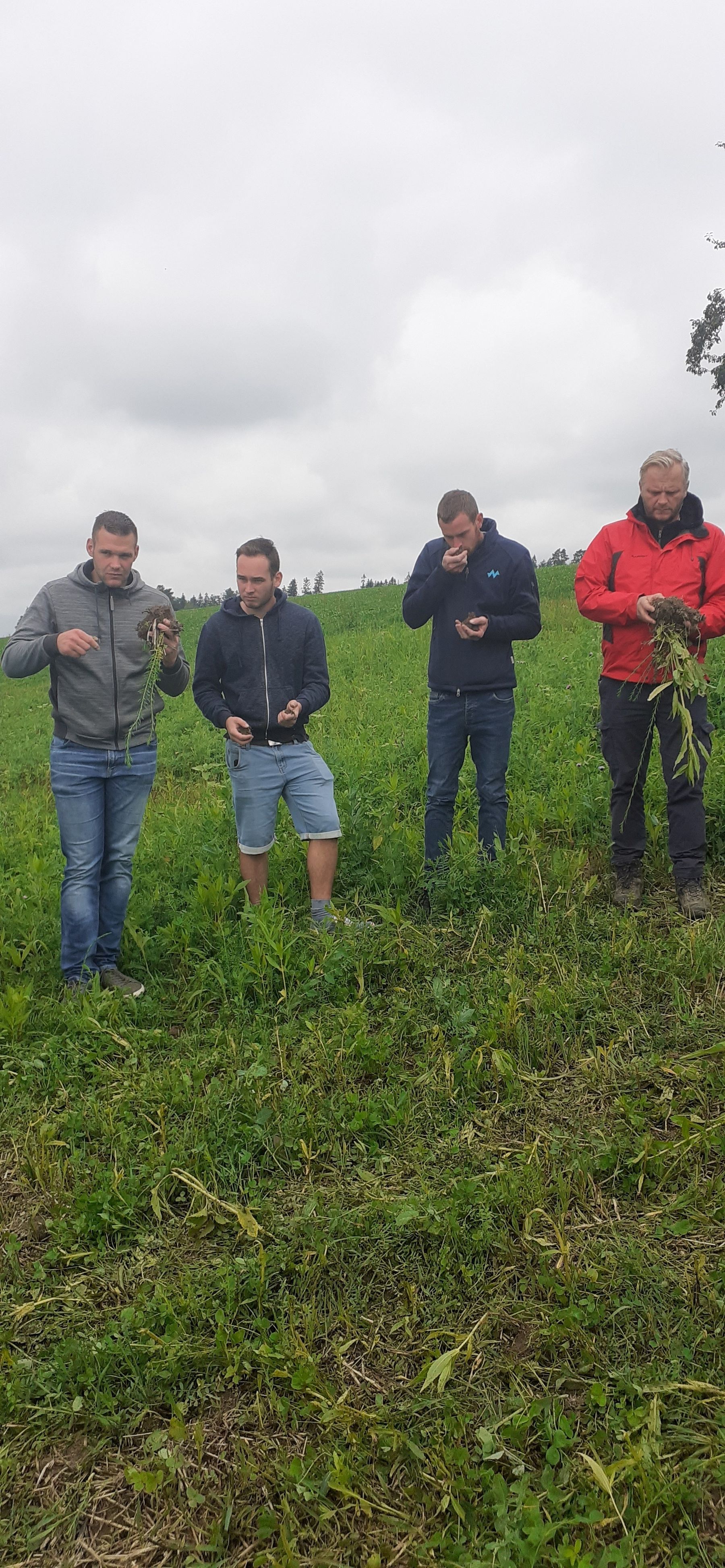Bestimmung der Bodenstruktur © BWSB/Gerstl