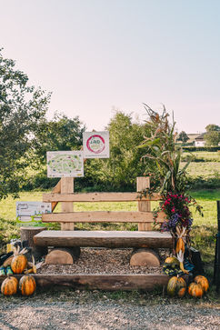 [1634053888320876.jpg]