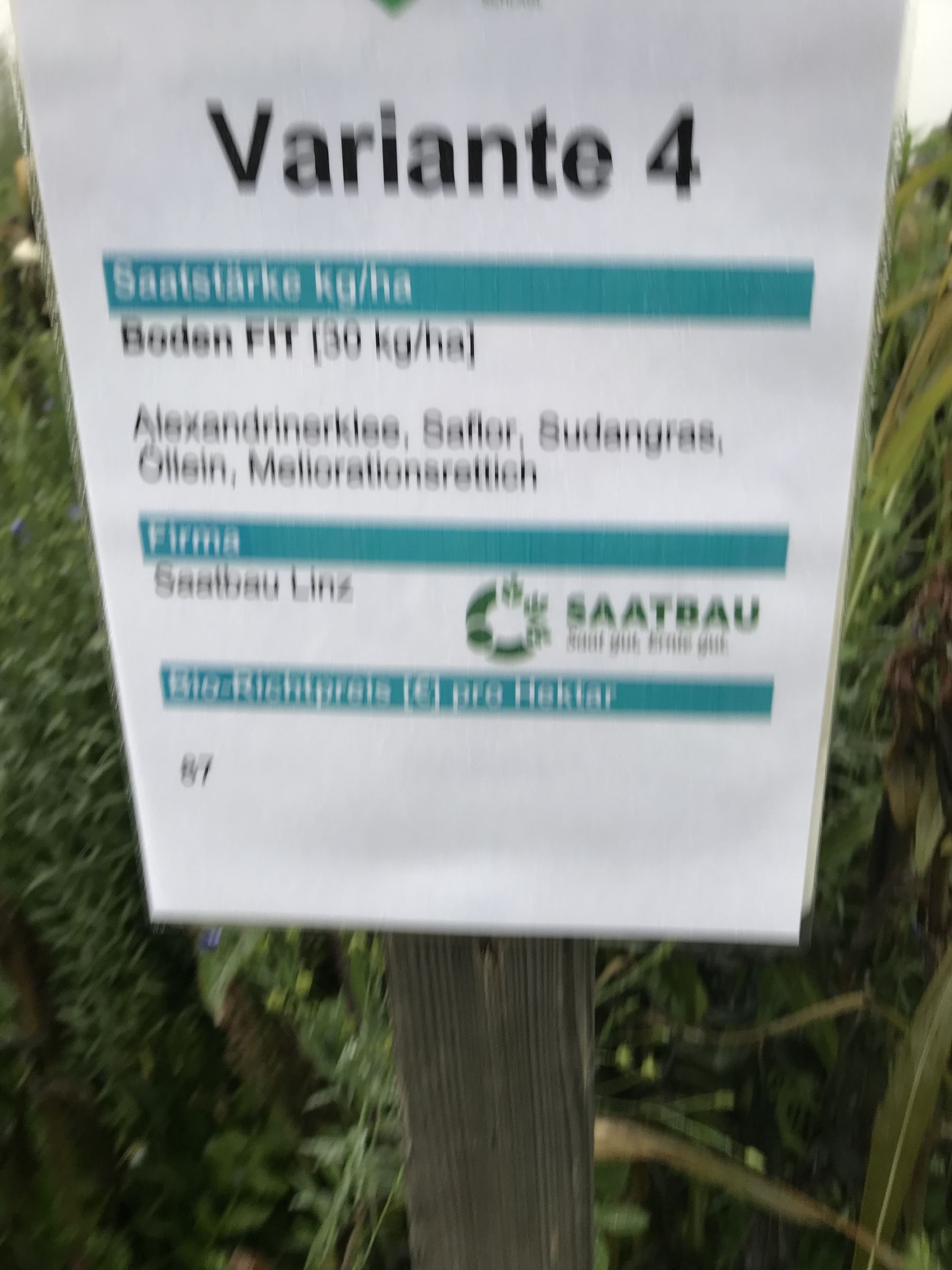 V 4 - Boden FIT © BWSB/Gerstl