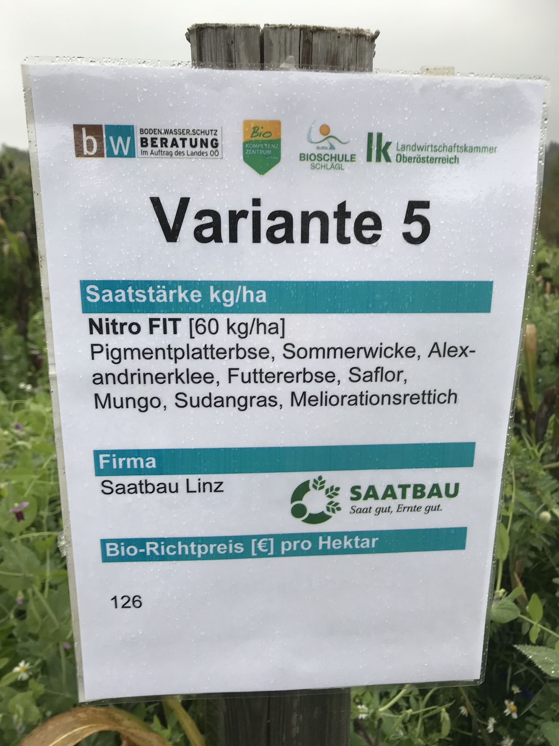 V 5 - Nitro FIT © BWSB/Gerstl