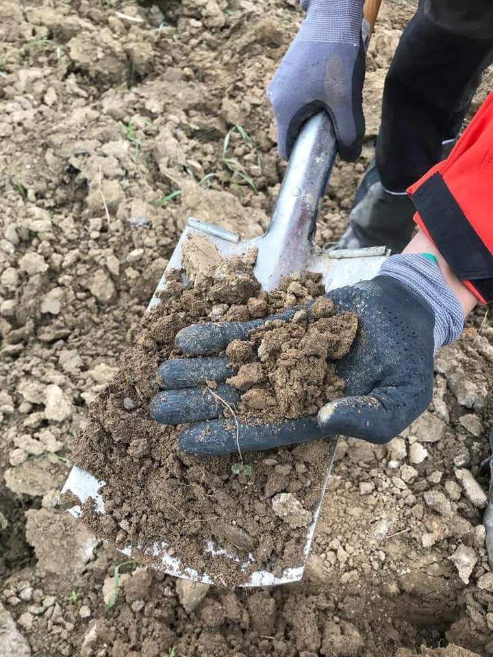 Anbau des Bio-Sommerbraugersten-Versuchs im Biokompetenzzentrum Schlägl##+##12. Oktober 2021