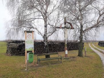 [1644563837645261.jpg]