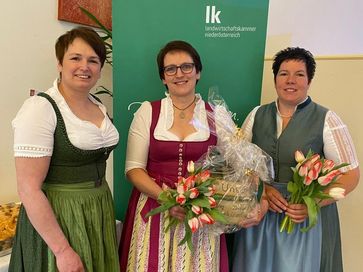 [1647862313834421.jpg]