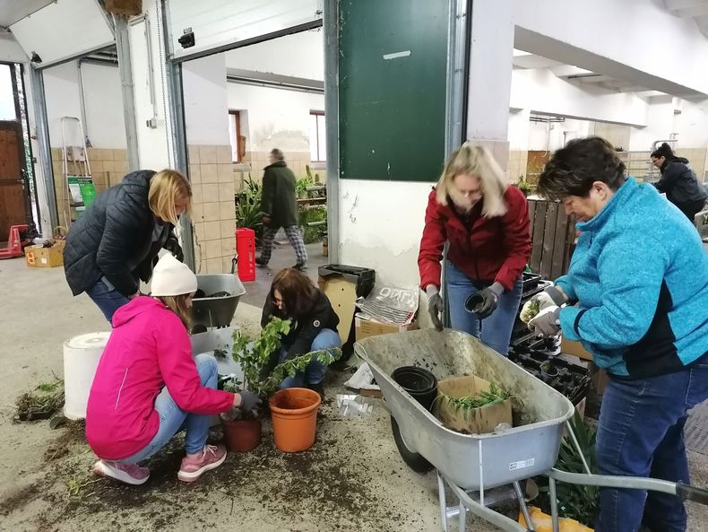 IMG 20220422 174726.jpg