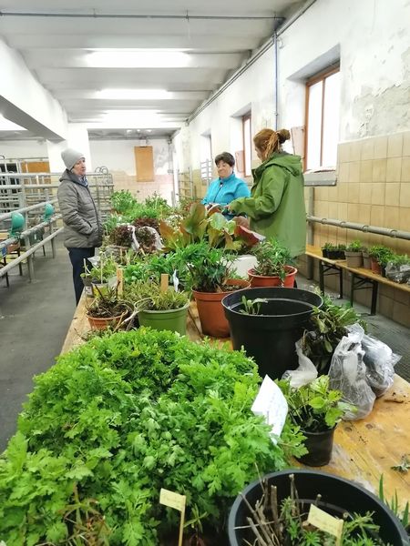 IMG 20220422 174831.jpg