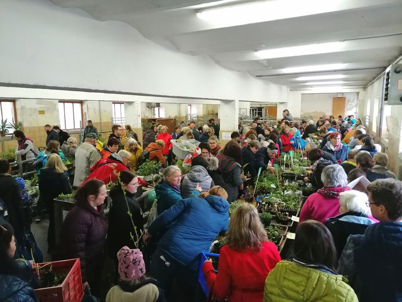 IMG 20220423 171301.jpg