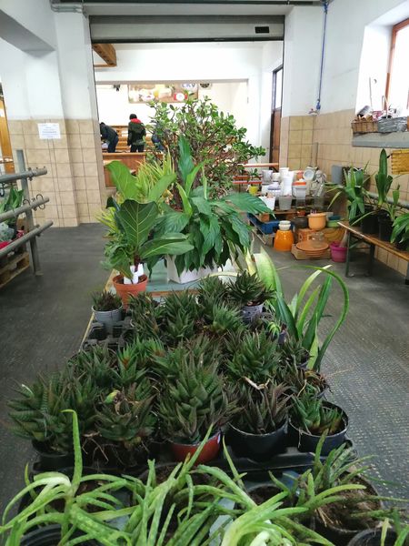 IMG 20220423 171715 resized 20220423 093748696.jpg