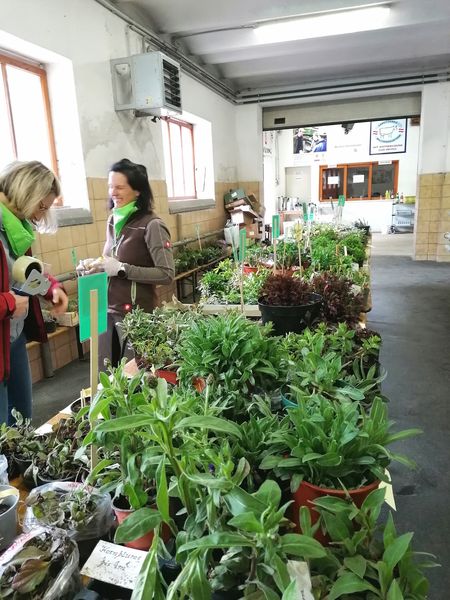 IMG 20220423 171740 resized 20220423 093747884.jpg