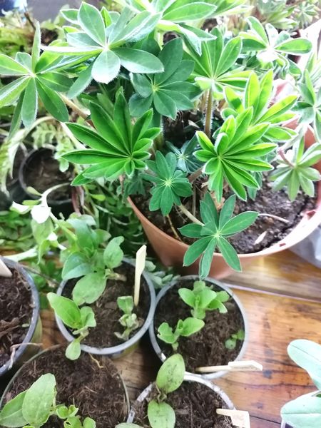 IMG 20220423 171819.jpg