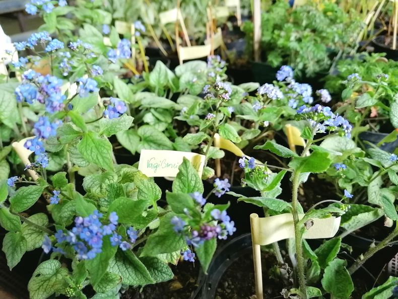 IMG 20220423 171850.jpg