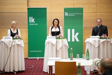 [1650997745871421.jpg]