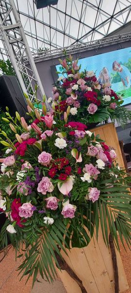 IMG-20220426-WA0005.jpg IMG-20220426-WA0005.jpg