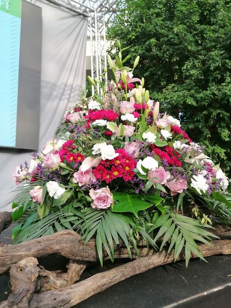 IMG 20220425 173309.jpg