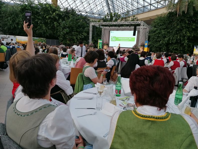 IMG 20220425 183905.jpg