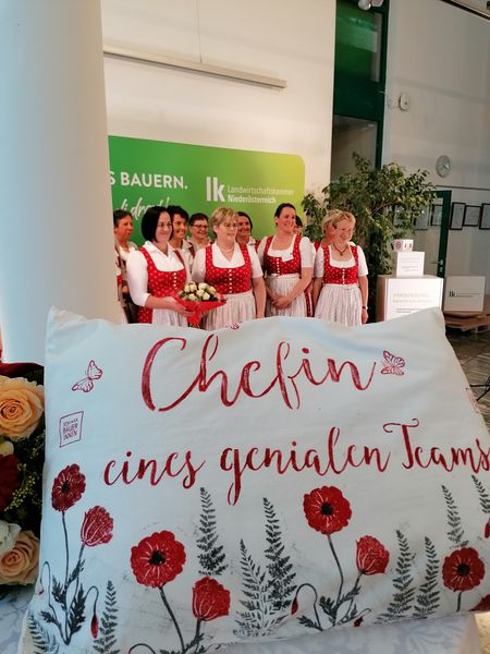 IMG 20220525 153730.jpg IMG 20220525 153730.jpg