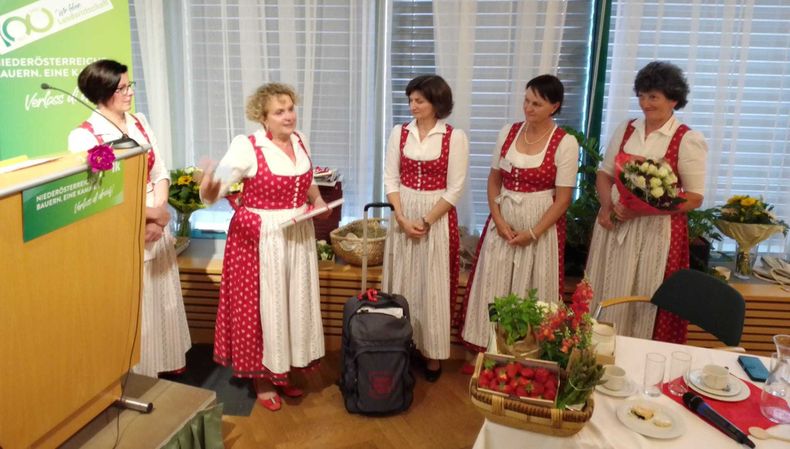 IMG-20220525-WA0012.jpg IMG-20220525-WA0012.jpg