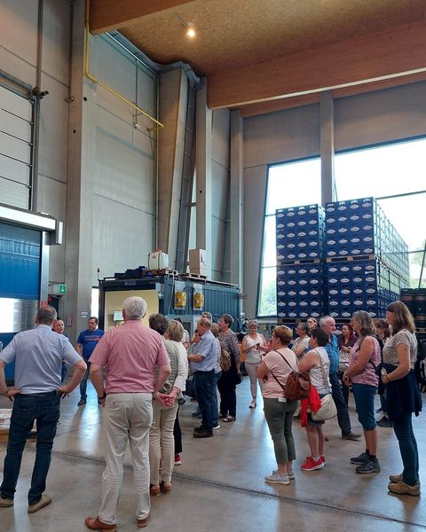 IMG-20220515-WA0009-2.jpg IMG-20220515-WA0009-2.jpg