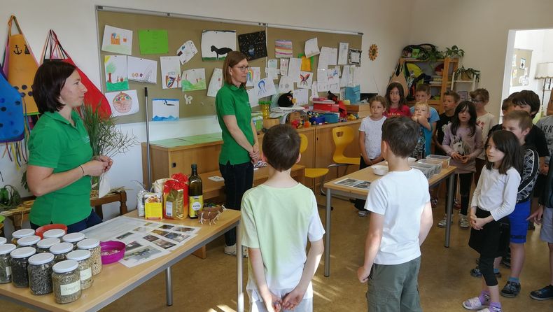 IMG 20220602 085653 resized 20220609 081854154.jpg IMG 20220602 085653 resized 20220609 081854154.jpg