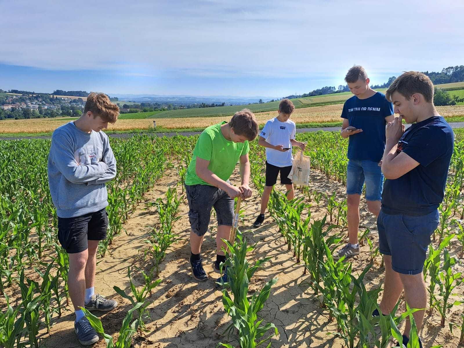 Die SchülerInnen und Schüler des 1. Jahrgangs waren mit vollem Einsatz dabei. Bei der Station Boden wurde natürlich eine umfassende Spatenprobe durchgeführt 🌱 © BWSB