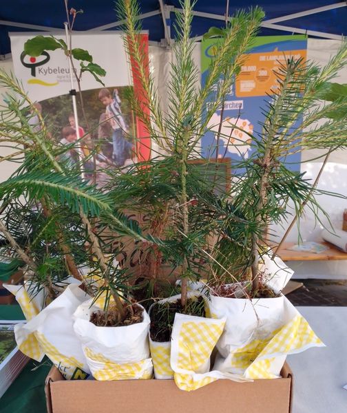 IMG-20220627-WA0028.jpg IMG-20220627-WA0028.jpg