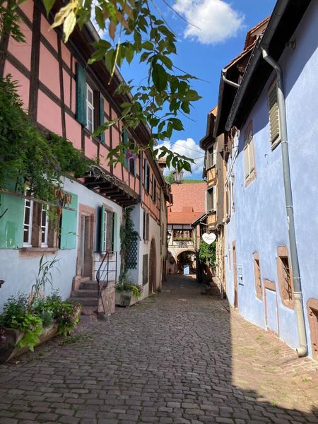 IMG-20220708-WA0004.jpg IMG-20220708-WA0004.jpg