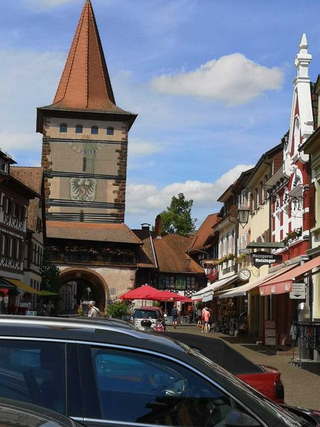 IMG-20220709-WA0006.jpg IMG-20220709-WA0006.jpg