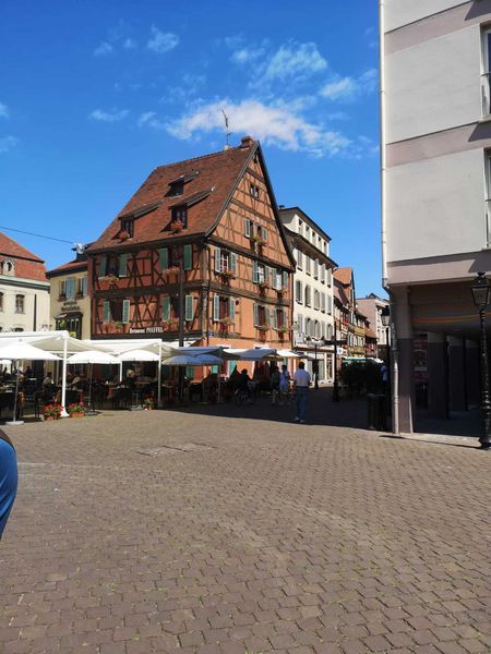 IMG-20220709-WA0010.jpg IMG-20220709-WA0010.jpg