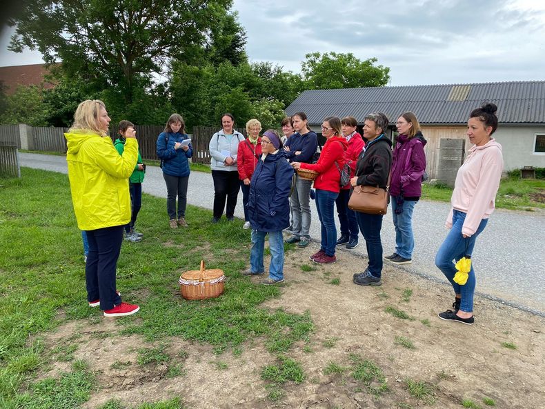 Wiesenkräuterwanderung mit Eunike Grahofer ©&nbsp;Die Bäuerinnen im Gebiet Raabs/Thaya