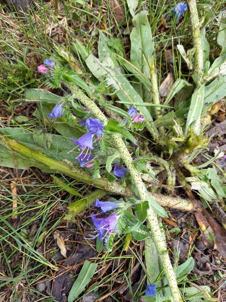 Walk & Talk mit Eunike Grahofer ©&nbsp;Die Bäuerinnen im Gebiet Raabs/Thaya