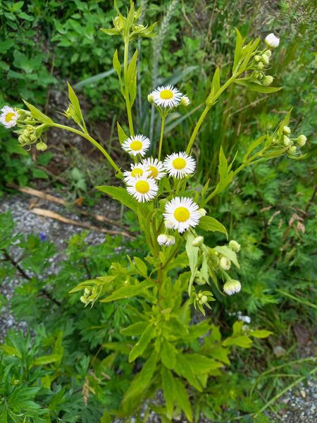 Walk & Talk mit Eunike Grahofer ©&nbsp;Die Bäuerinnen im Gebiet Raabs/Thaya