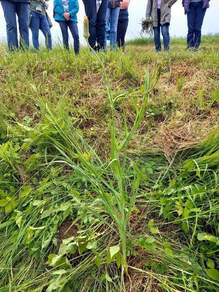 Walk & Talk mit Eunike Grahofer ©&nbsp;Die Bäuerinnen im Gebiet Raabs/Thaya
