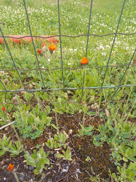 Walk & Talk mit Eunike Grahofer ©&nbsp;Die Bäuerinnen im Gebiet Raabs/Thaya