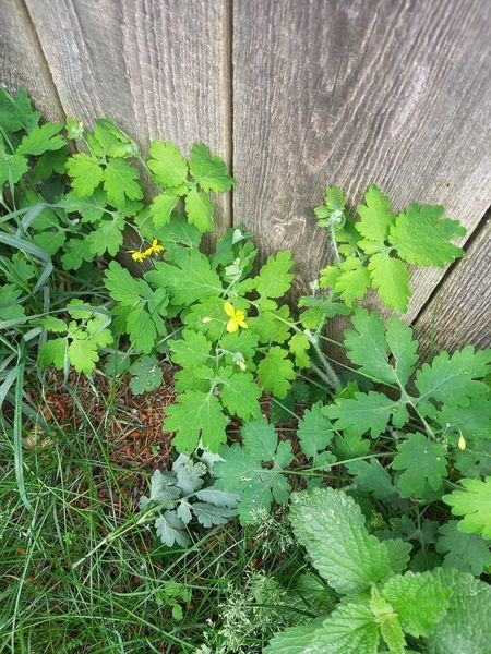 Walk & Talk mit Eunike Grahofer ©&nbsp;Die Bäuerinnen im Gebiet Raabs/Thaya