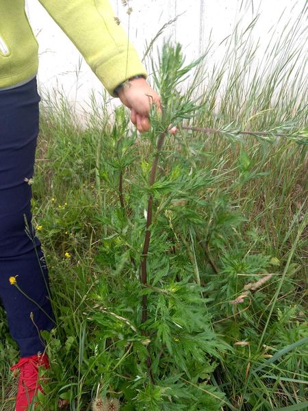 Walk & Talk mit Eunike Grahofer ©&nbsp;Die Bäuerinnen im Gebiet Raabs/Thaya