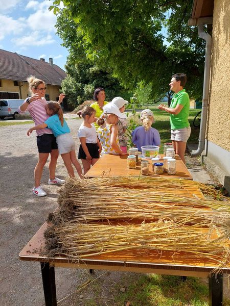 2022 Schulaktion VS Zeiselmauer