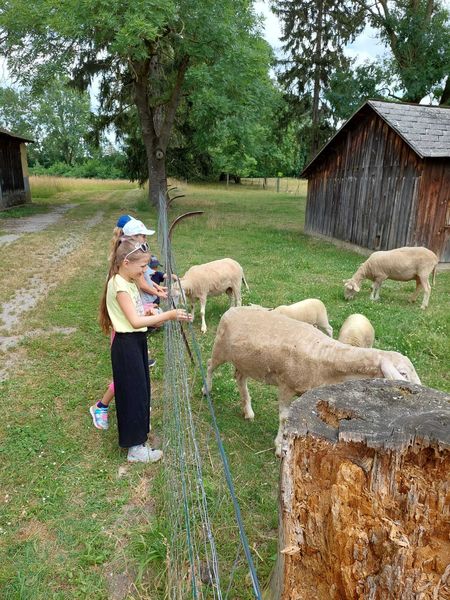 2022 Schulaktion VS Zeiselmauer