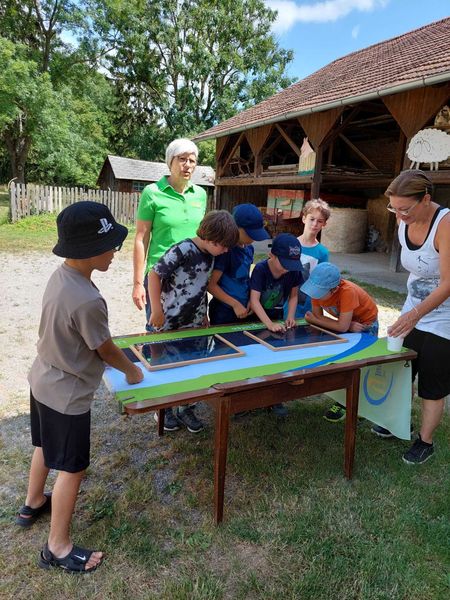 2022 Schulaktion VS Zeiselmauer 2022 Schulaktion VS Zeiselmauer